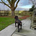 Casa vacanze Cosy Near Brimham Rocks Yorkshire Dales *